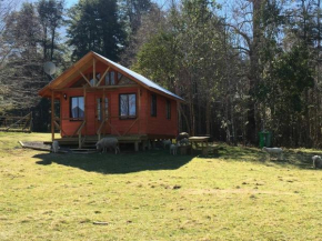 Cabaña En La Pradera Lindo Paisaje En Pucon